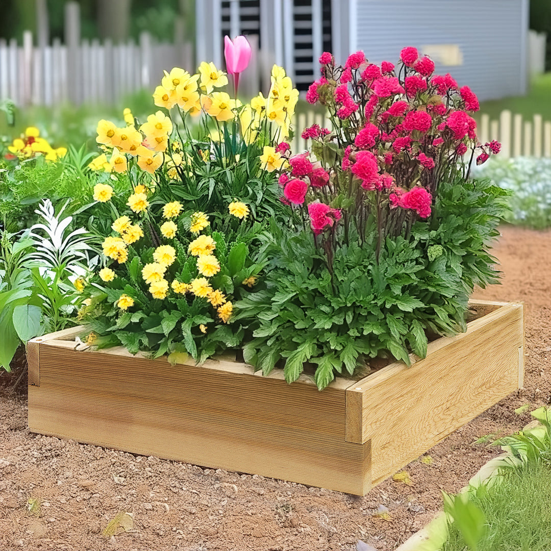 2-Ft Square Raised Cedar Garden Box (RG24)