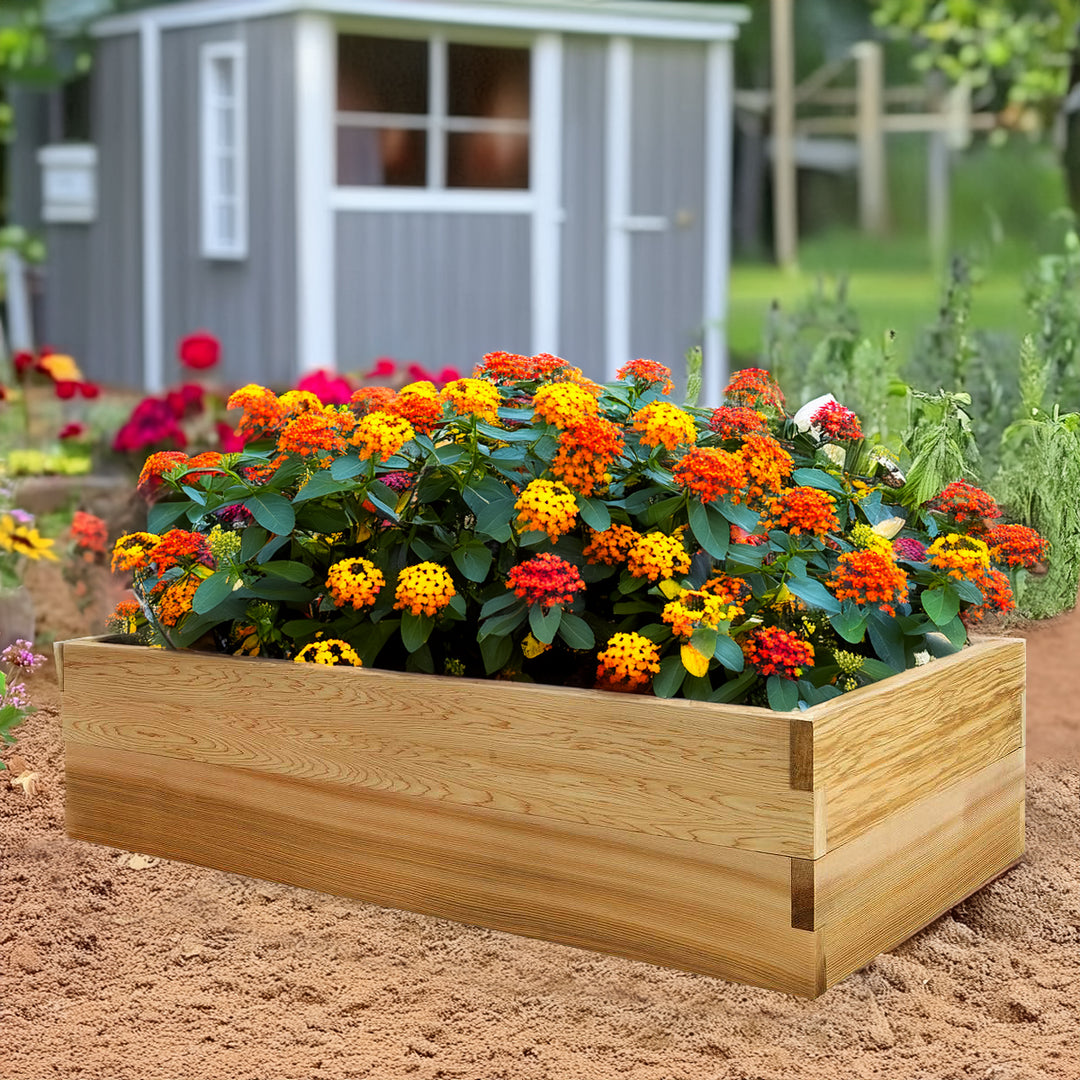 4x2-Ft Double Layer Raised Cedar Garden Box (RG48-2)