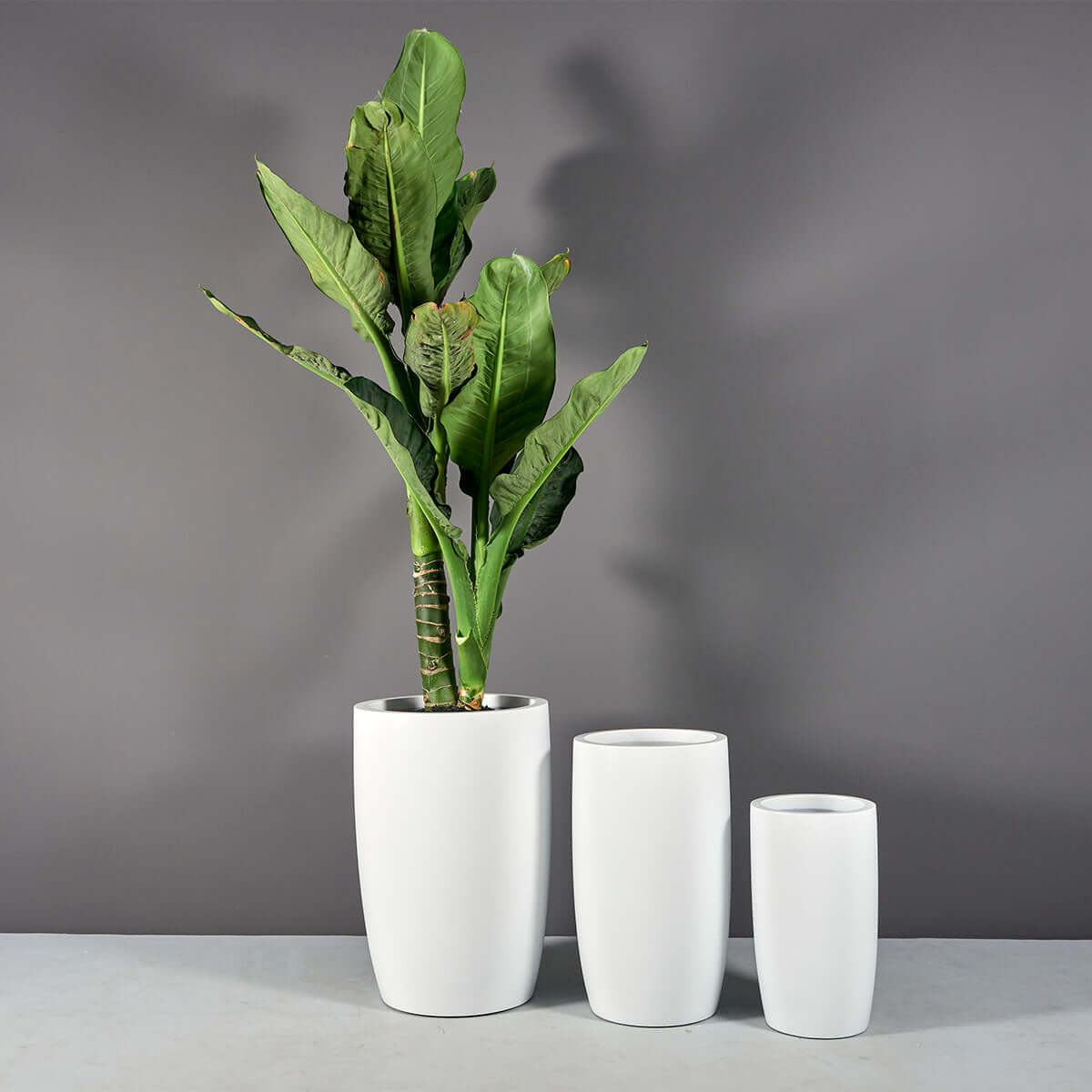 low round planter pots Jay Scotts Lisbon Fiberglass Round Planter Box