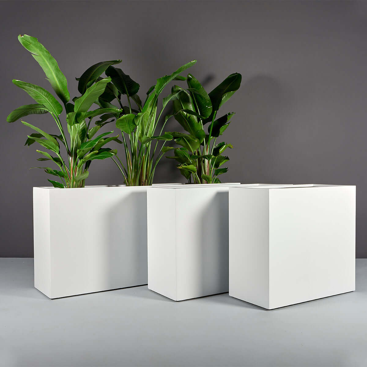 fiberglass planter pot Jay Scotts Potsdam Rectangular Fiberglass Planter Box