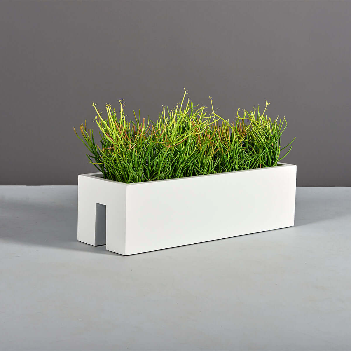 rectangle planter indoor Jay Scotts Tiergarden Fiberglass Rectangular Planter Box