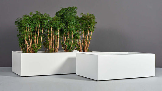 Why 73% of Urban Balconies Need a 12-Inch Ground Cover Solution