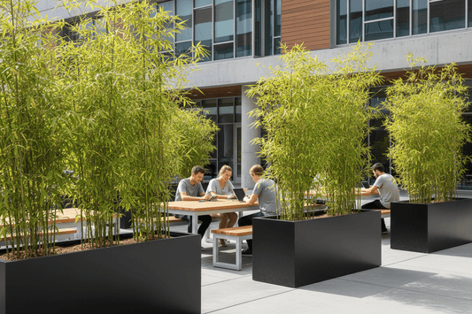 Sustainable Campus Design: Why Universities and Schools Need Architectural Planters for Environmental Resilience