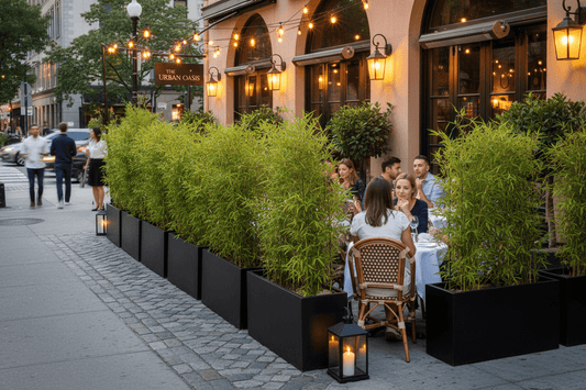 Restaurant Patio Defense: Protecting Outdoor Dining from Homeless Harassment with Tall Privacy Planters