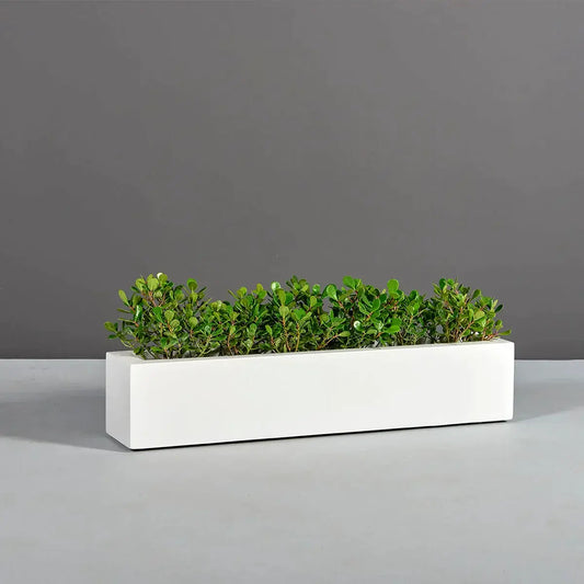 Jay Scotts Salon Narrow Low Rectangular Planter Box - 42" x 8" x 8"H
