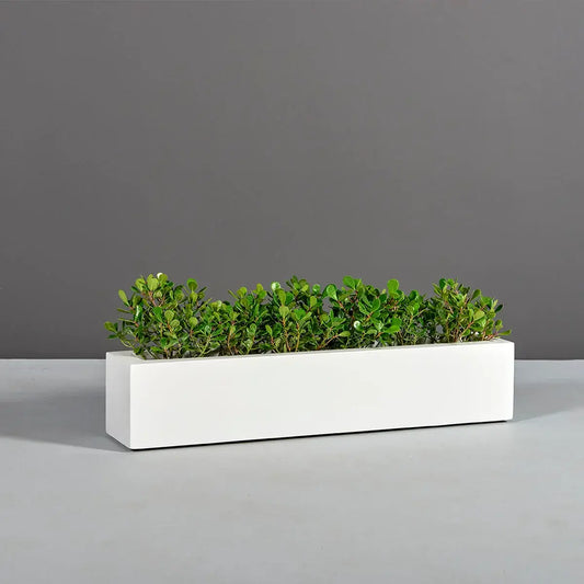 Jay Scotts Salon Narrow Low Rectangular Planter Box - 36" x 8" x 8"H