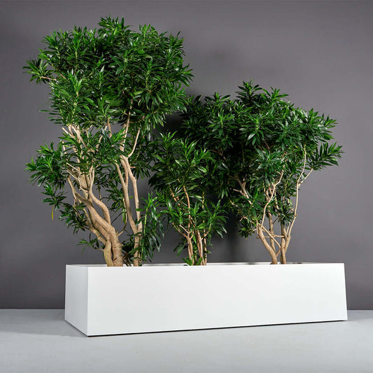 Jay Scotts Selenge Rectangular Fiberglass Planter Box - Size 70"L x 30"W x 15"H