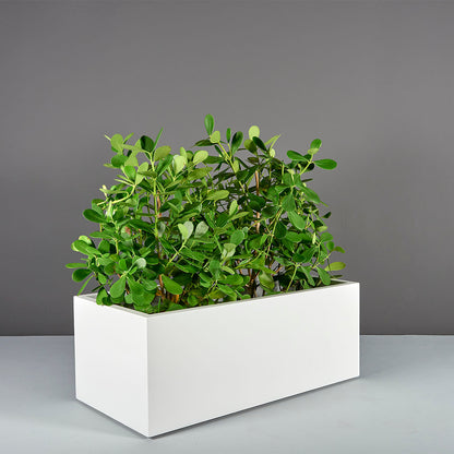 Jay Scotts Torino Fiberglass Rectangular Planter Box by Jay Scotts - 72"L x 24"W x 18"H