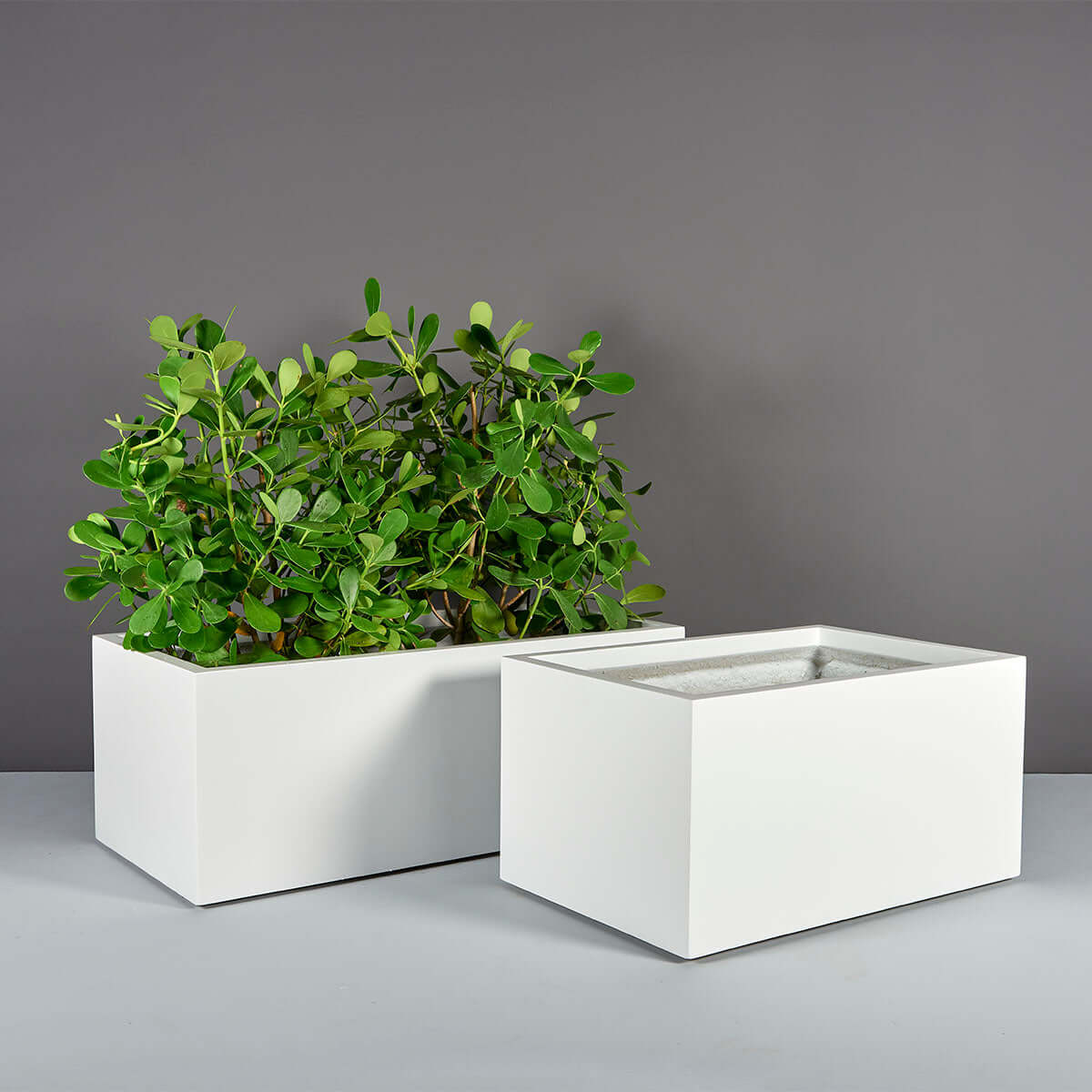 Jay Scotts Torino Fiberglass Rectangular Planter Box by Jay Scotts - 72"L x 24"W x 18"H
