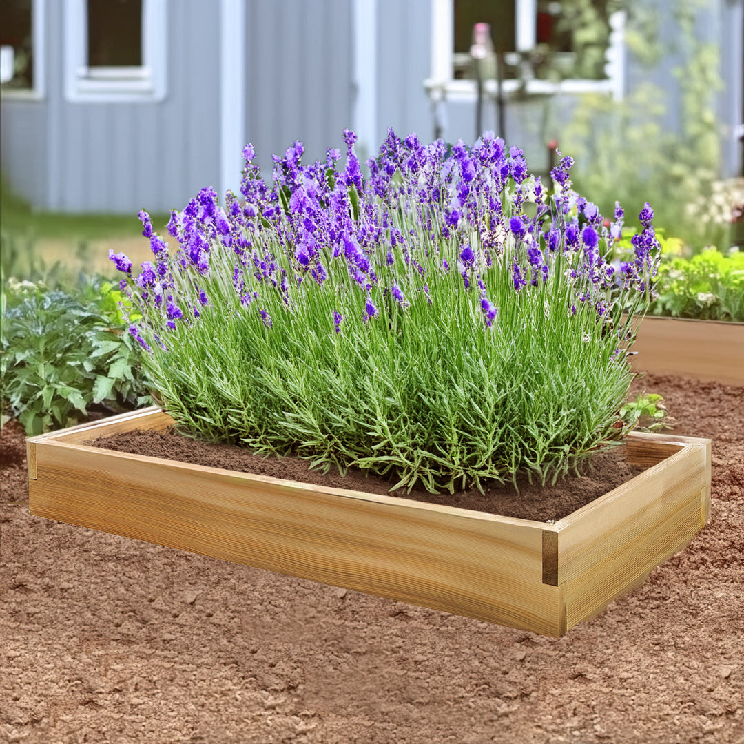 4-Ft x 2-Ft Raised Cedar Garden Box (RG48)