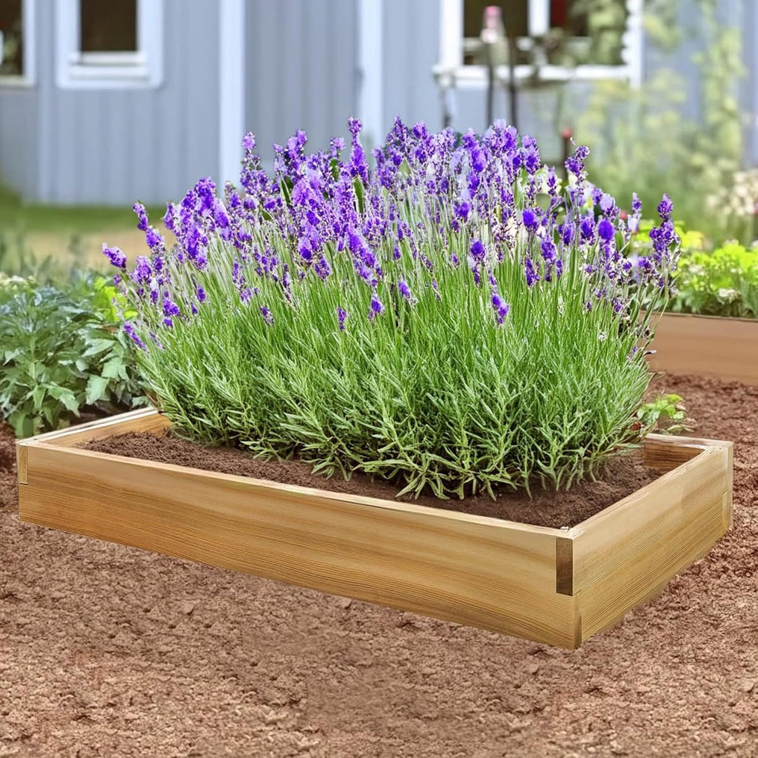 6-Ft x 2-Ft Raised Cedar Garden Box (RG72)