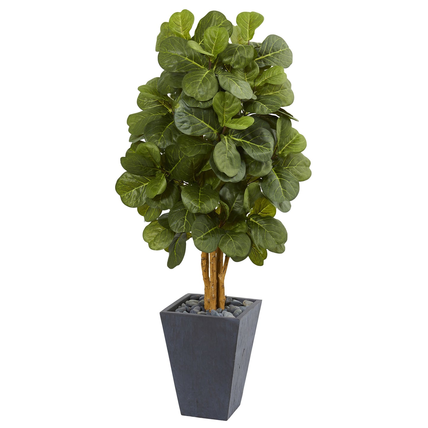 5.5’ Fiddle Leaf Artificial Tree in Slate Planter