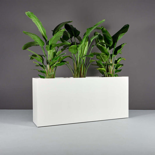 Jay Scotts Potsdam Rectangular Fiberglass Planter Box - Size 48"L x 16"W x 32"H