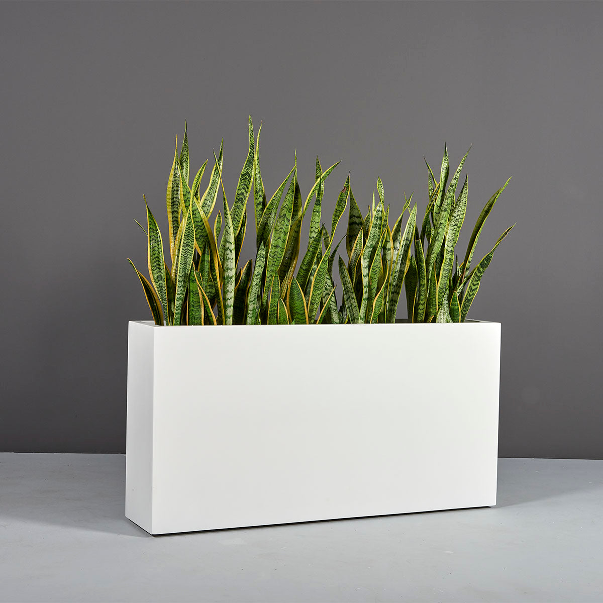 Jay Scotts Milano Fiberglass Rectangular Planter Box - Size 36"L x 10"W x 24"H