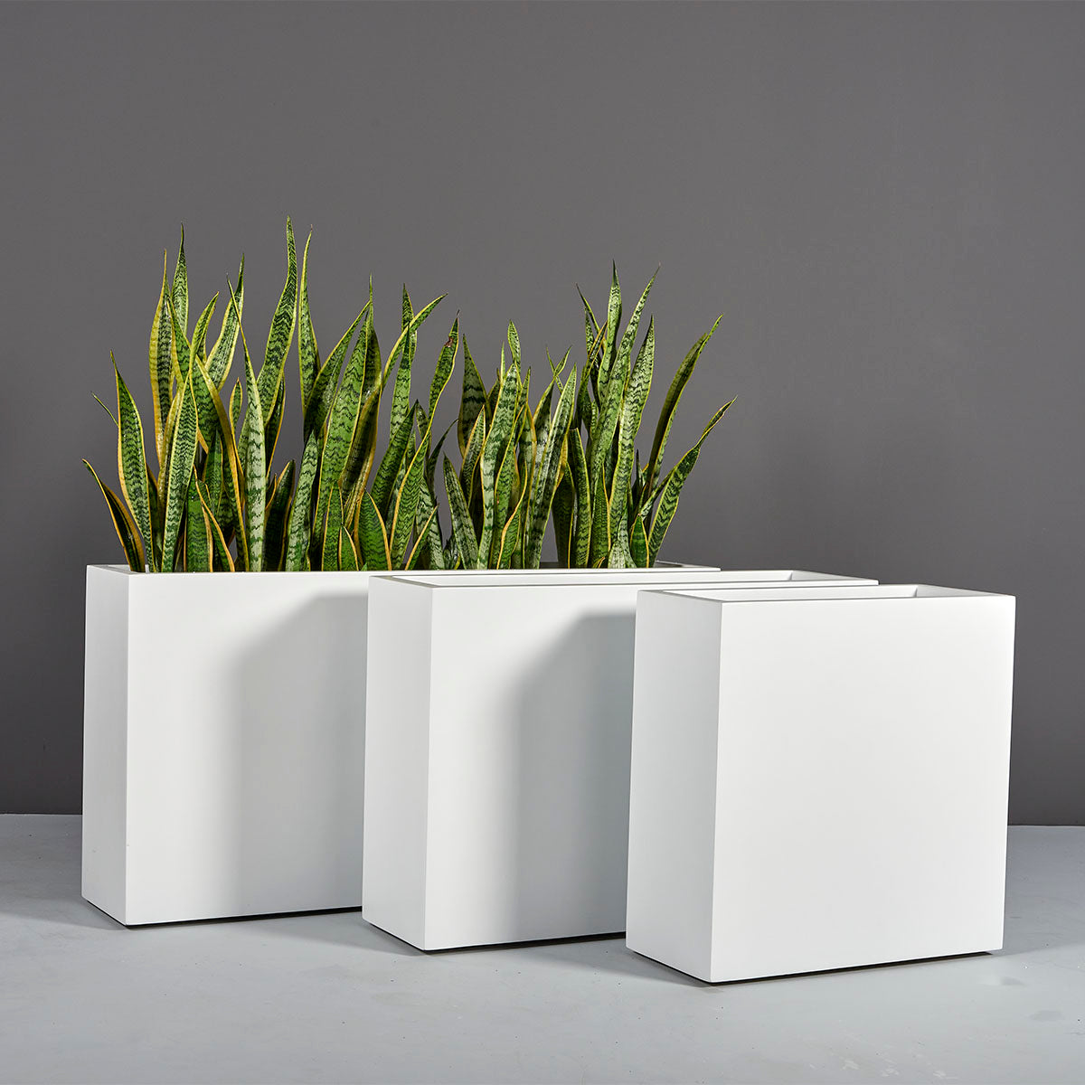 Jay Scotts Milano Fiberglass Rectangular Planter Box - Size 24"L x 10"W x 24"H
