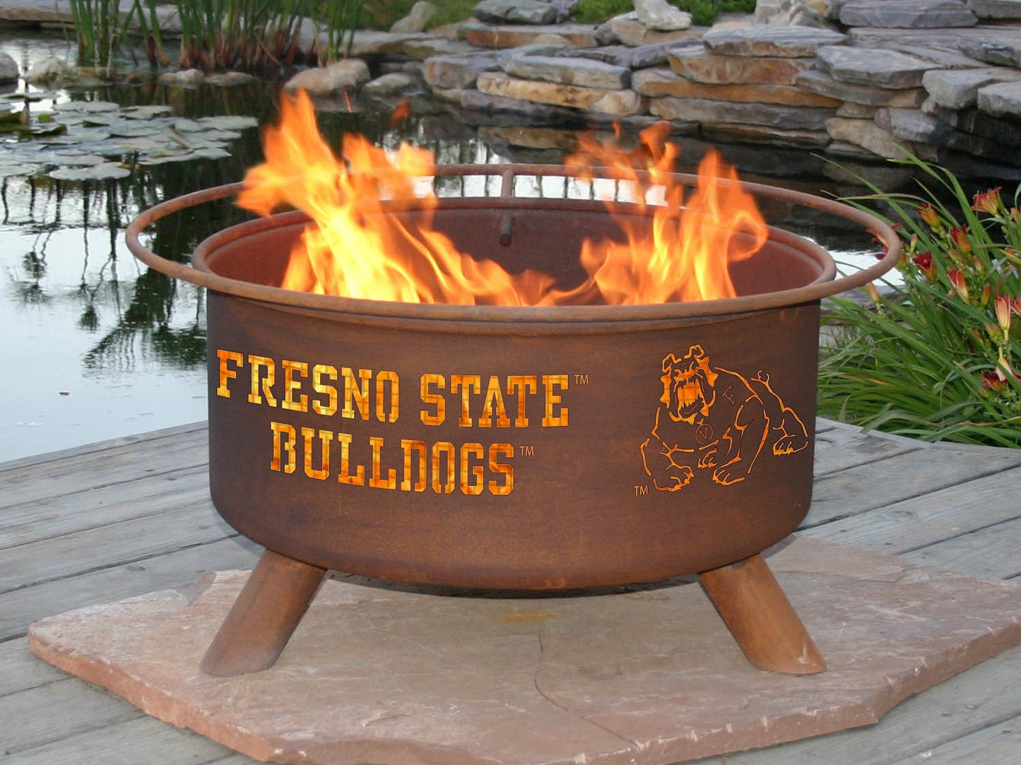 Collegiate Fresno State University Logo Wood and Charcoal Steel Fire Pit, Fireplace - Yardify.com