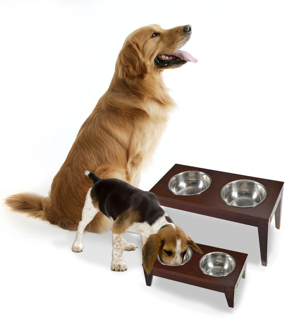 Raised Pet Bowls Feeder for Dog or Cat, Pets - Yardify.com